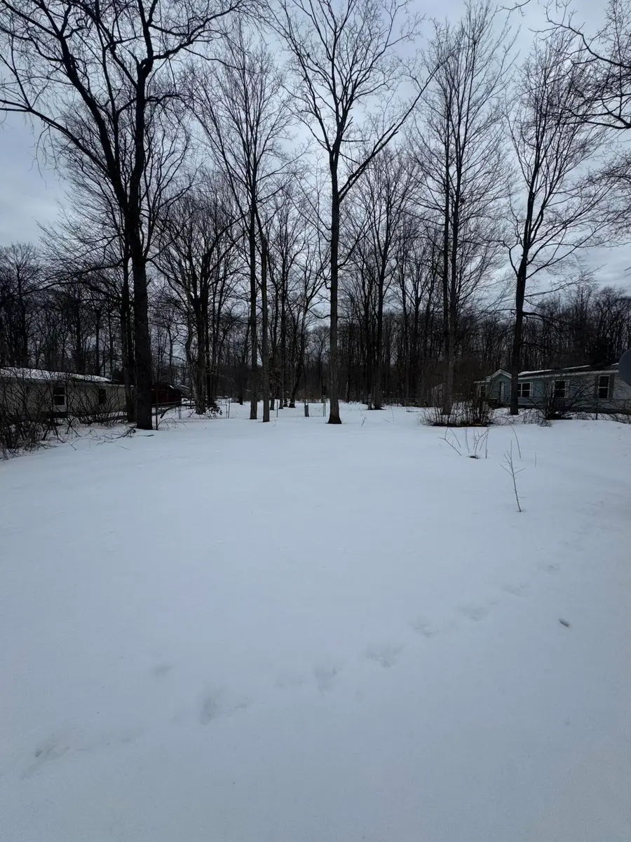 4866 Luanne Lane, Traverse City, MI 49685 - #3