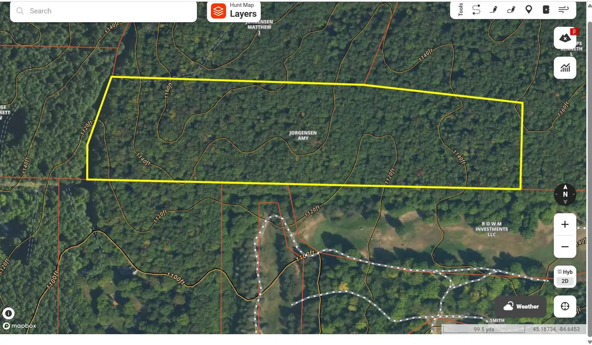 15.49 AC White Ash Trail, Vanderbilt, MI 49795 - #1