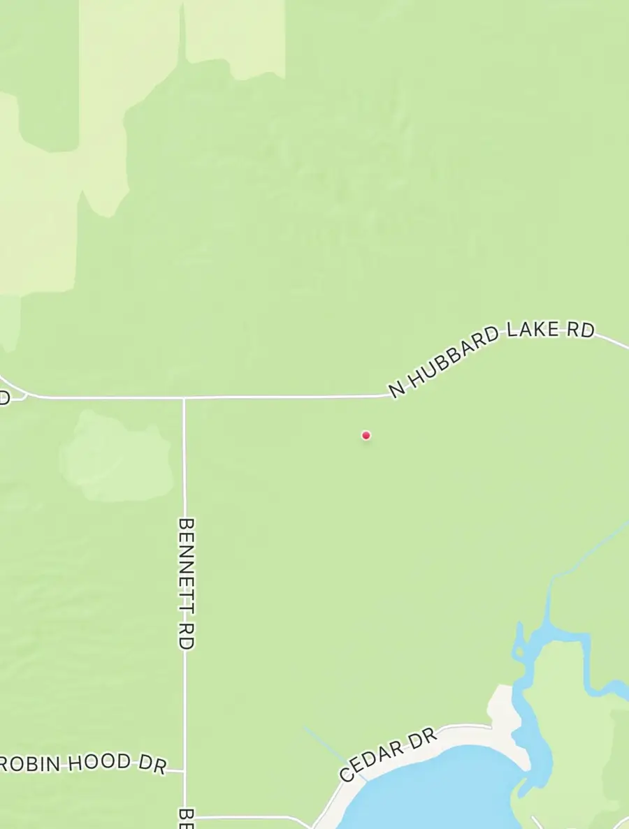 V/L 39.34A N Hubbard Lake, Hubbard Lake, MI 49747 - #2