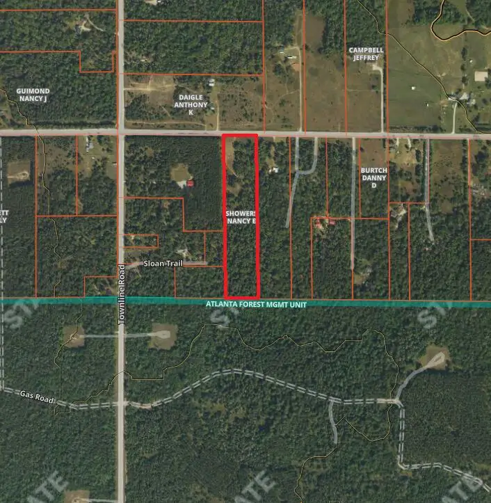 7187 County Road 612, Lewiston, MI 49756 - #1