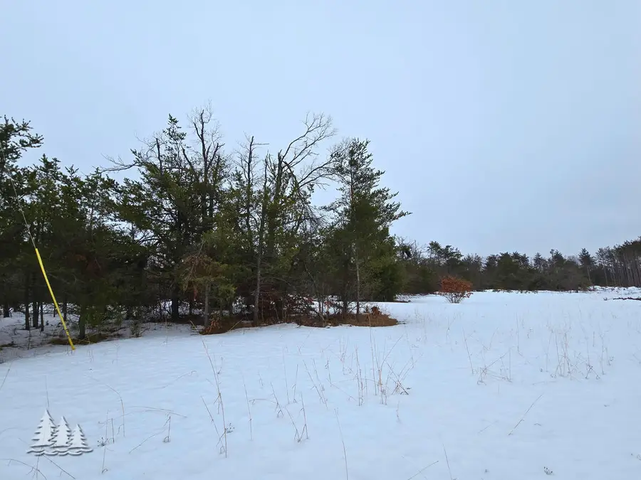 7187 County Road 612, Lewiston, MI 49756 - #2