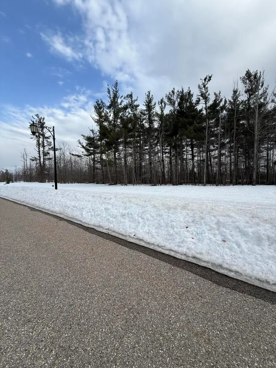 2437 Grey Wolf Trail, Gaylord, MI 49735 - #3