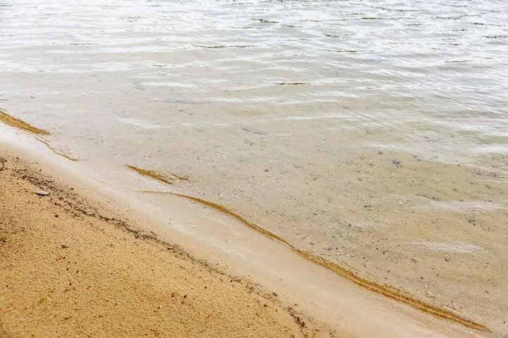 1604 Shallow Shores Drive, Gaylord, MI 49735 - #3