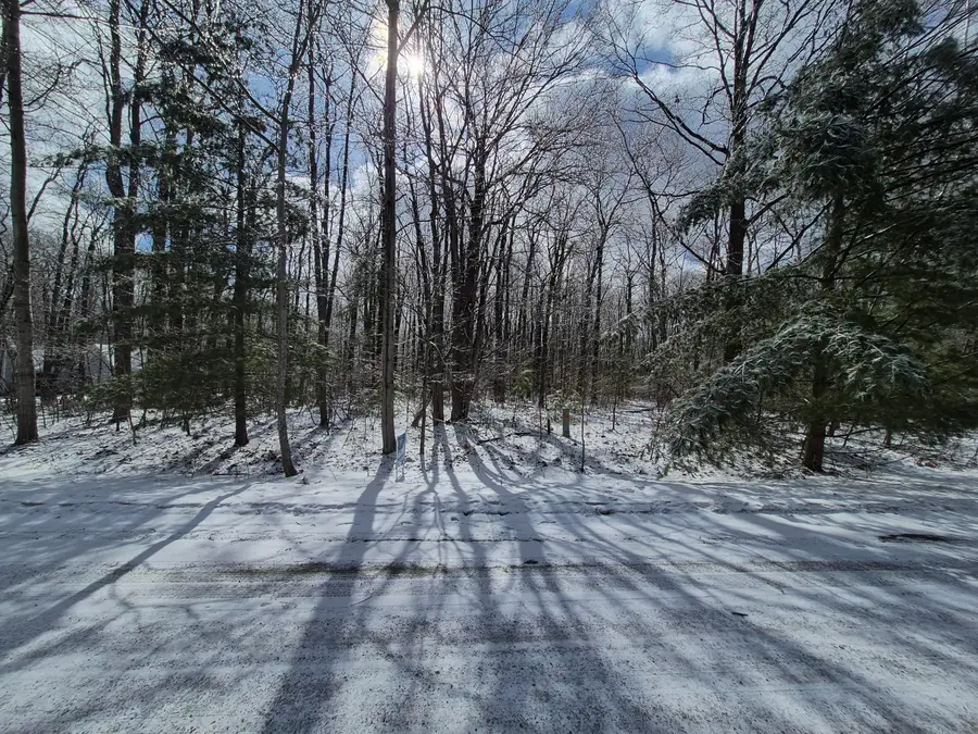 Lot 98 Indian Wood Drive, Roscommon, MI 48653 - #3