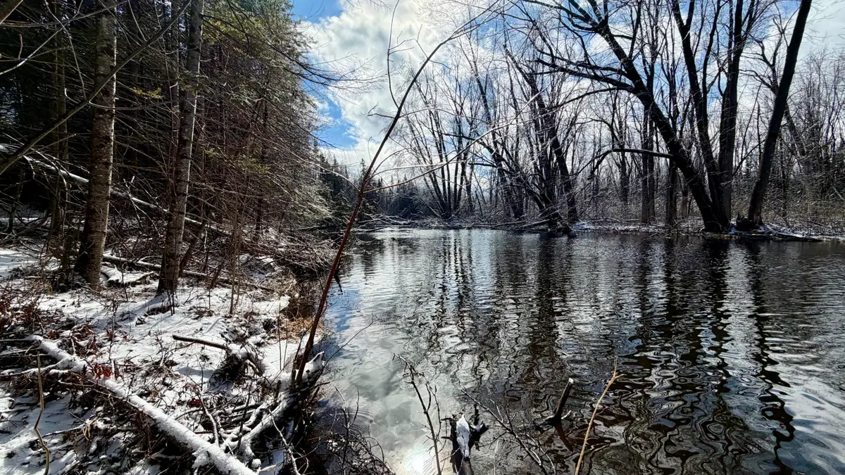 1490 Calcut Road, Lachine, MI 49753 - #1