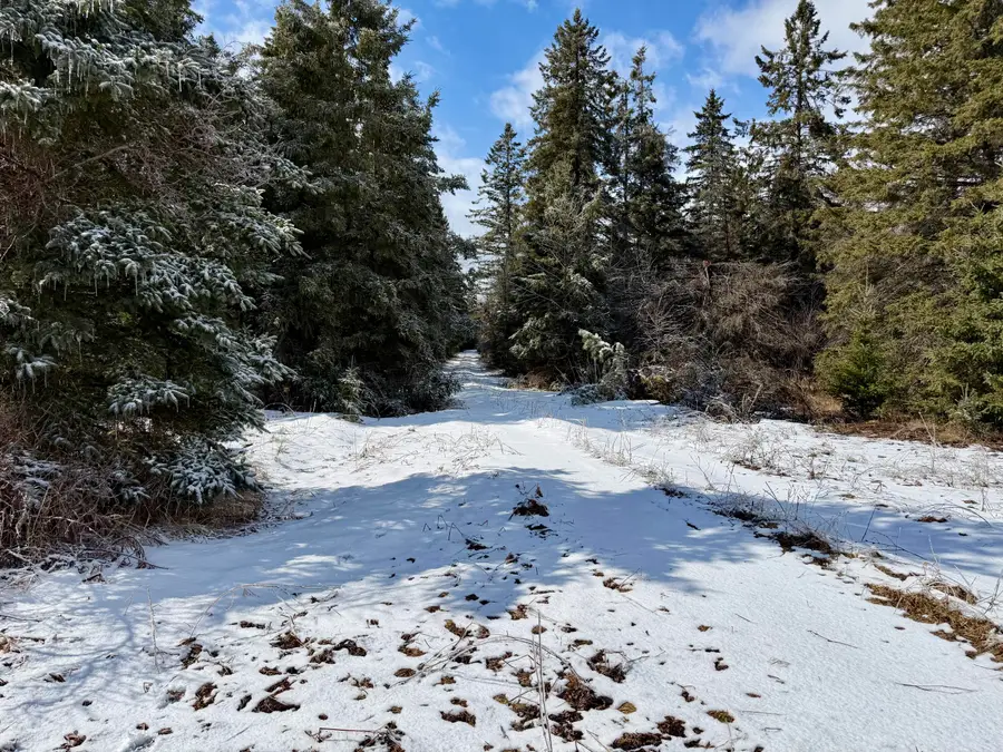 1490 Calcut Road, Lachine, MI 49753 - #3