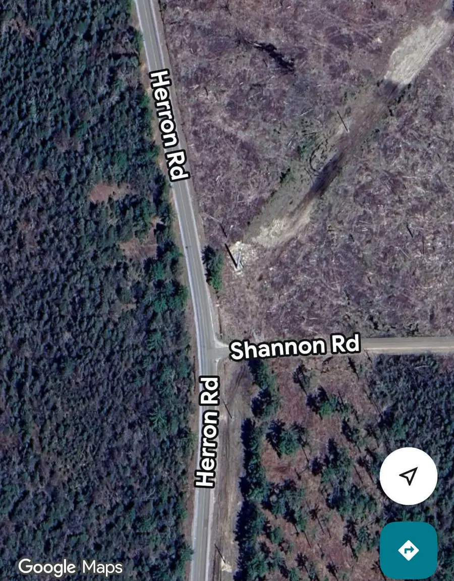 80 AC Herron Road, Alpena, MI 49707 - #2