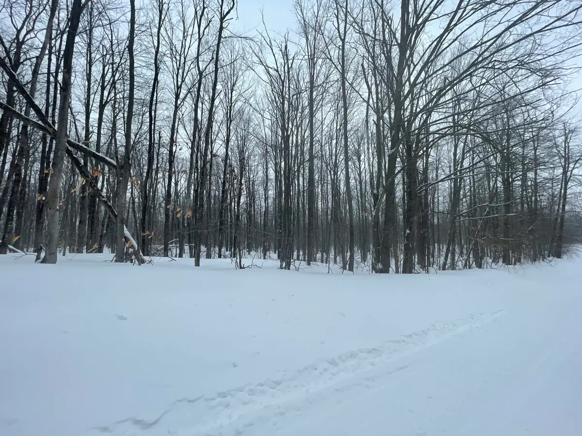 L 320-321 Whispering Pines Drive, Mancelona, MI 49659 - #1