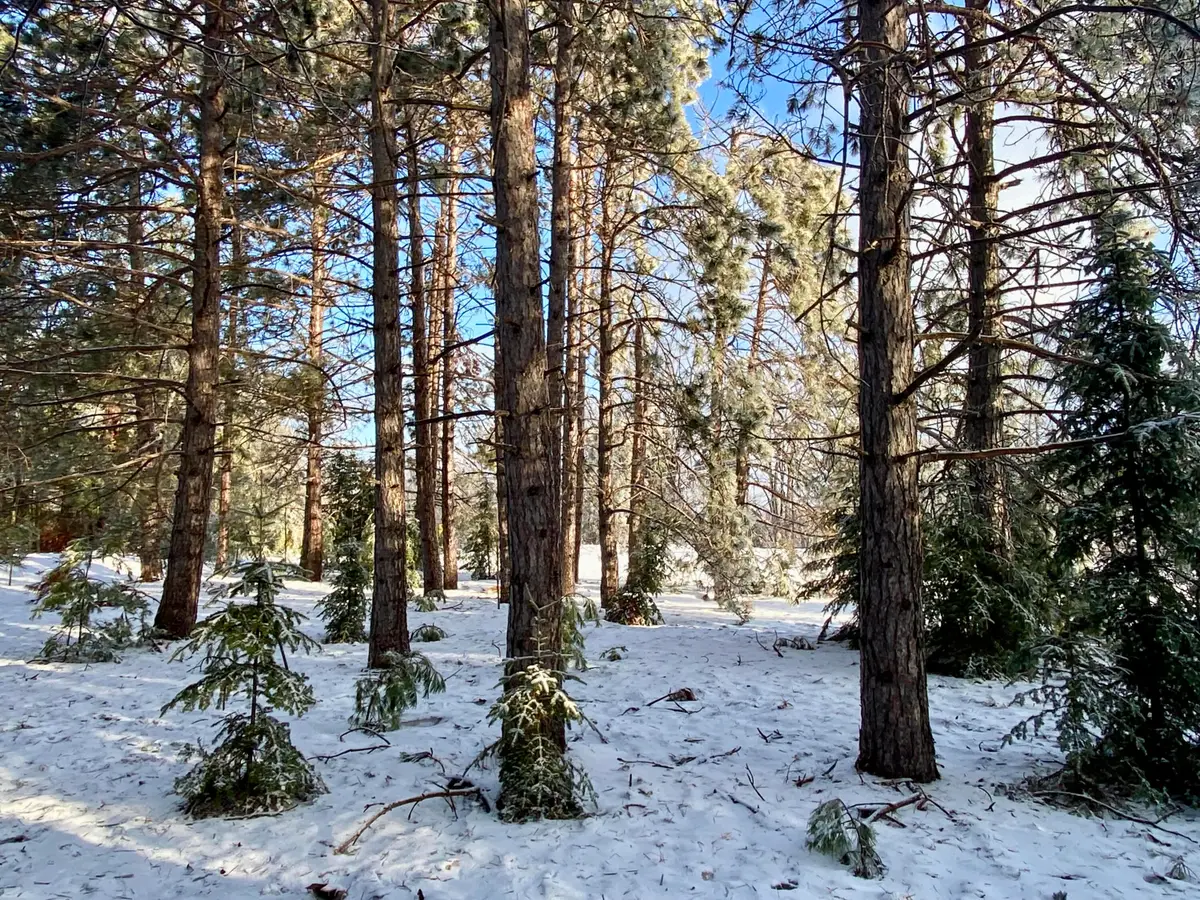 Lots 8-12 Scenic Trail, Gaylord, MI 49735 - #1