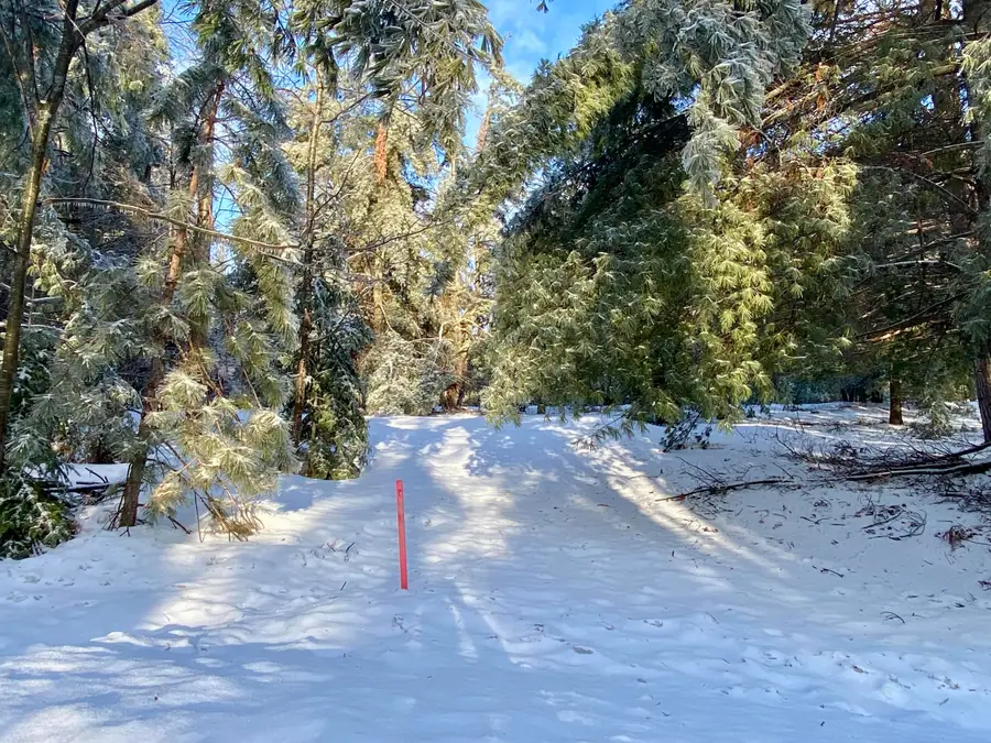 Lots 8-12 Scenic Trail, Gaylord, MI 49735 - #3