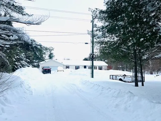 10951 Butler Road, Cheboygan, MI 49721 - #3