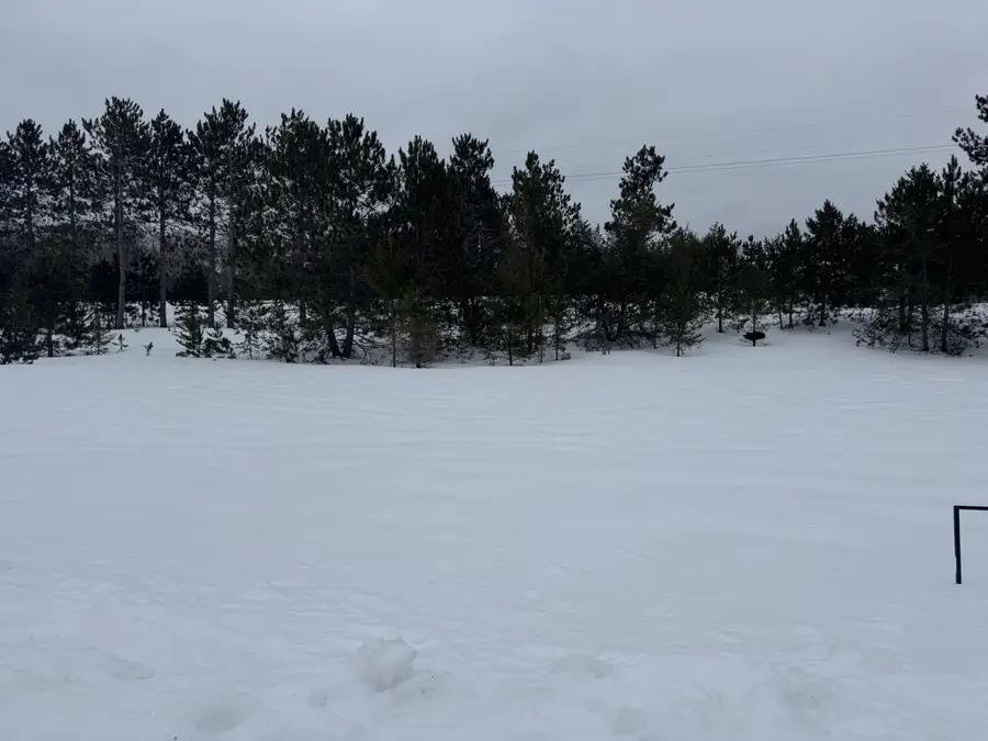 9462 Chippewa Drive, Mancelona, MI 49659 - #3