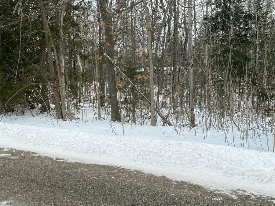 13378 Mackinaw Highway, Mackinaw City, MI 49701 - #3