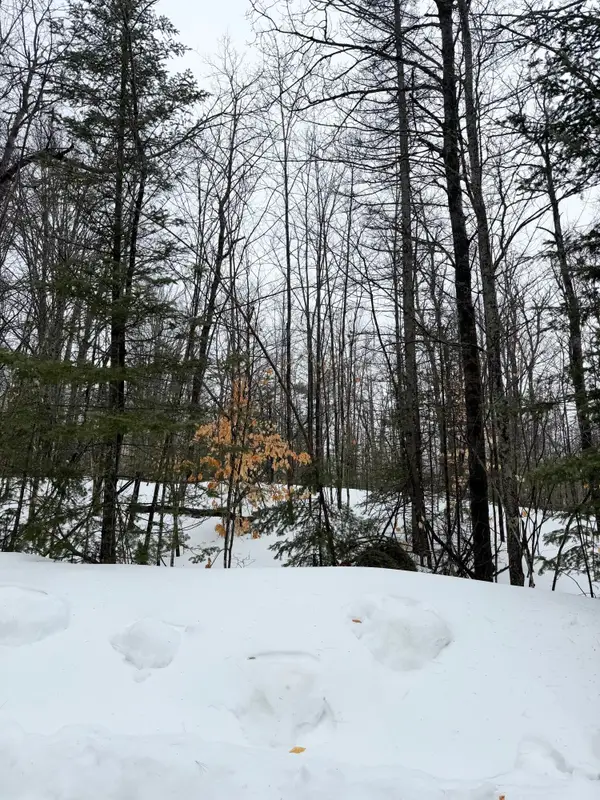Lot 67 Birch Lane, Frederic, MI 49733