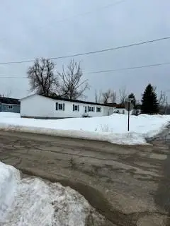 1107 Randolph Street, Cheboygan, MI 49721 - #3