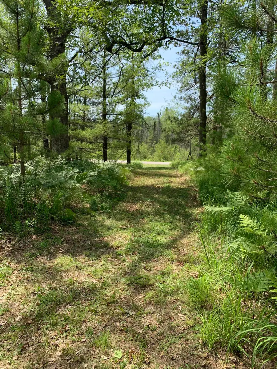 Lot 3 Mccollum Lake Road, Curran, MI 48728 - #3