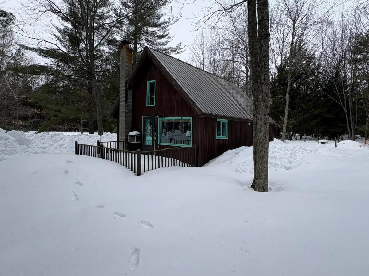 7125 Clinton Avenue, Carp Lake, MI 49718 - #1