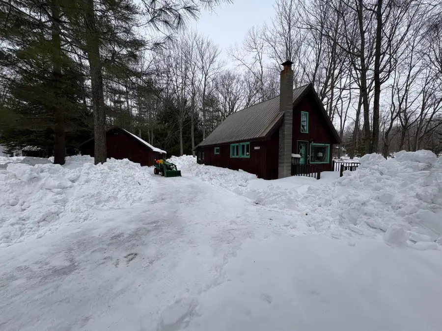 7125 Clinton Avenue, Carp Lake, MI 49718 - #2