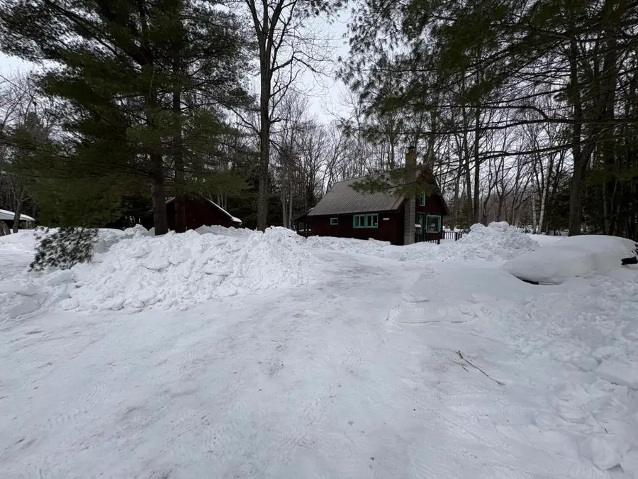 7125 Clinton Avenue, Carp Lake, MI 49718 - #3