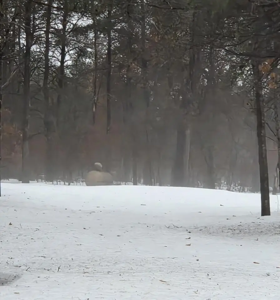 1983 Irene Avenue, Grayling, MI 49738 - #3