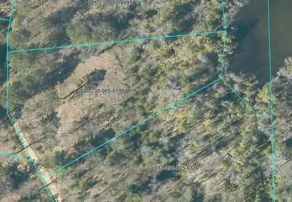 1.24 AC Snowbowl Road, Houghton Lake, MI 48629