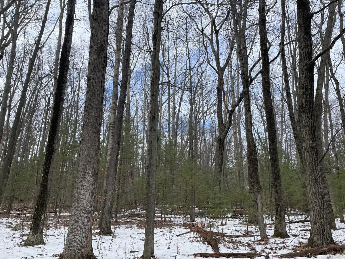 Lot 4 Hillsdale Drive, Roscommon, MI 48653 - #1