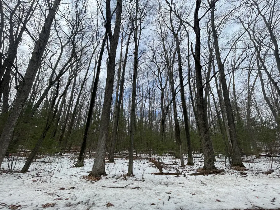 Lot 4 Hillsdale Drive, Roscommon, MI 48653 - #3