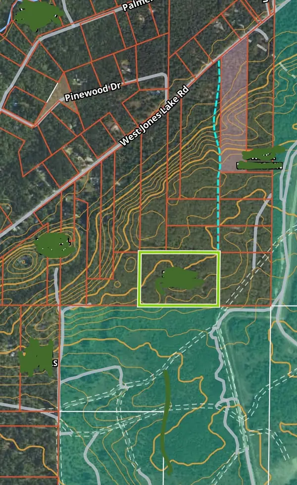 VL 15 AC W Jones Lake Road, Grayling, MI 49738