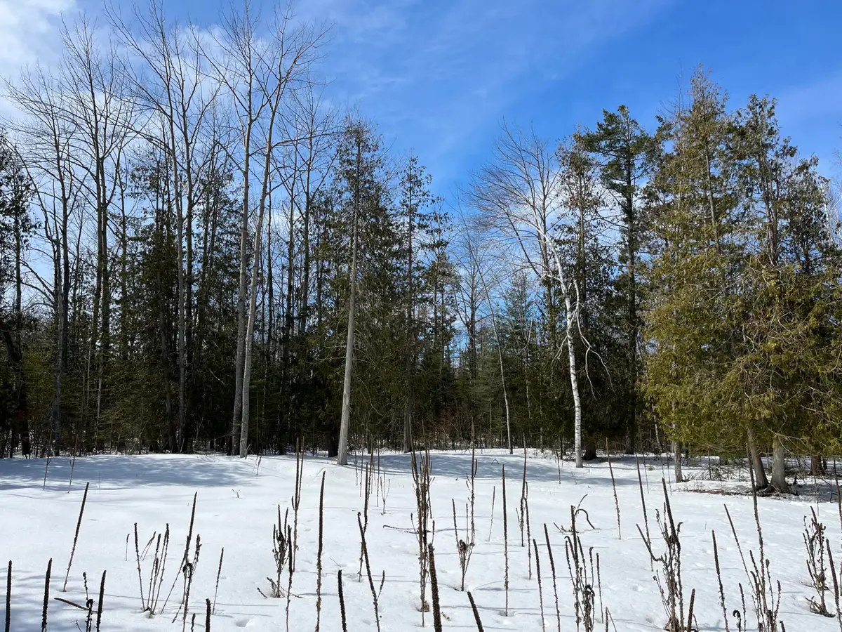 Lot 125 Sunaqua Drive, Presque Isle, MI 49777 - #1