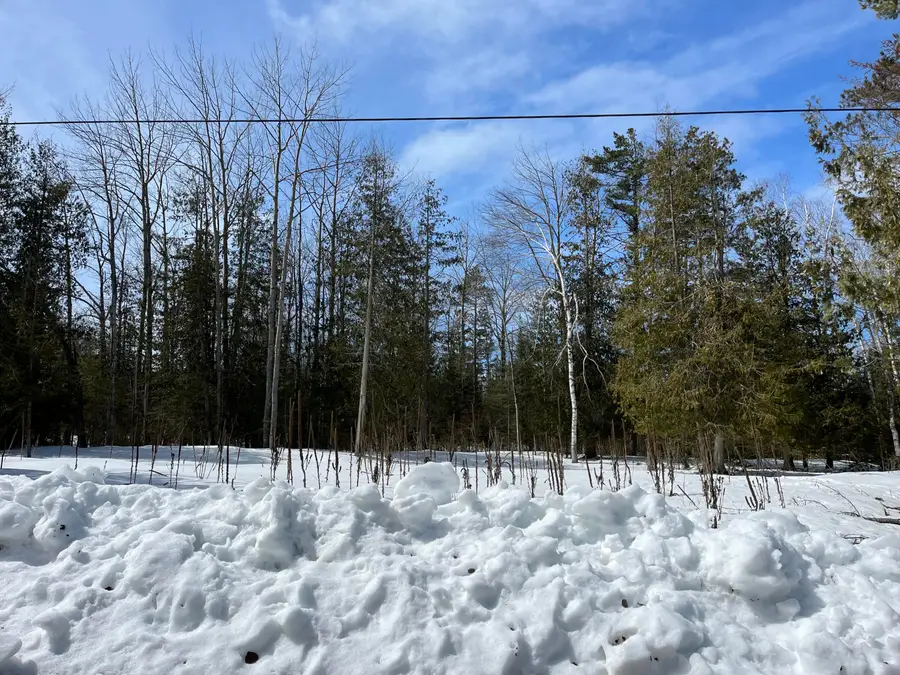 Lot 125 Sunaqua Drive, Presque Isle, MI 49777 - #3