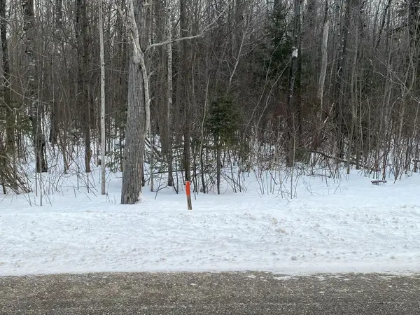 13764 N Mackinaw Highway, Mackinaw City, MI 49701