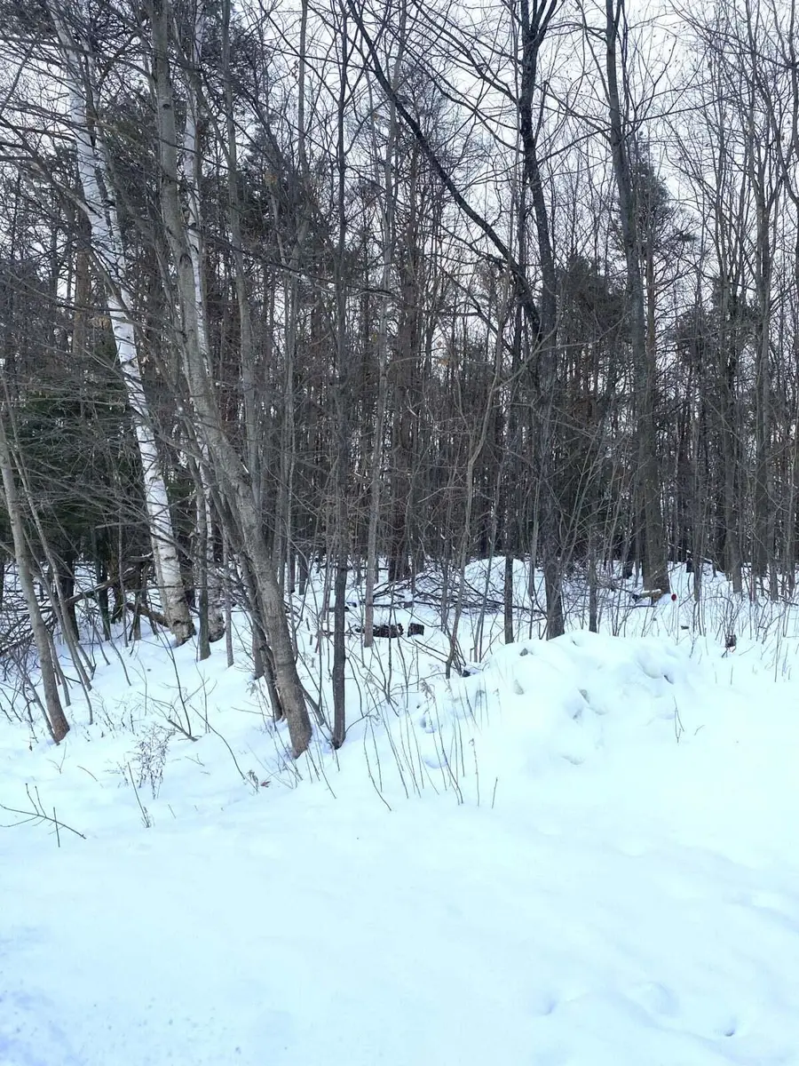 13792 N Mackinaw Highway, Mackinaw City, MI 49701 - #3