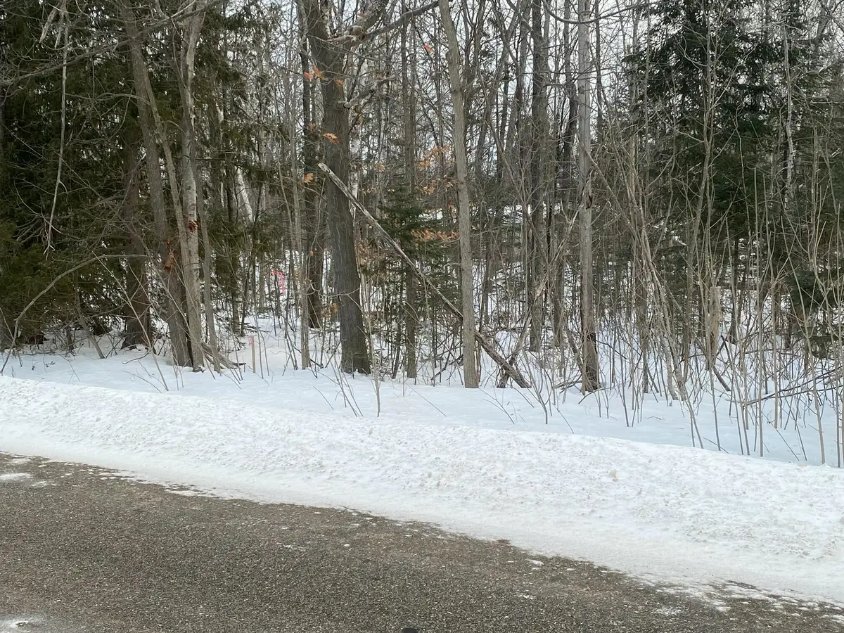 13826 N Mackinaw Highway, Mackinaw City, MI 49701 - #1