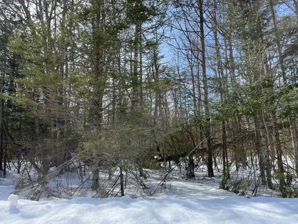 Lot 351 Northland Heights Drive, Presque Isle, MI 49777