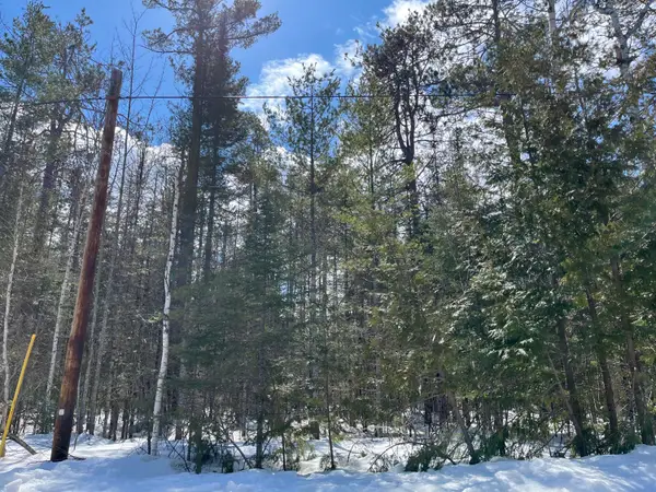 Lot 230 Sunaqua Drive, Presque Isle, MI 49777