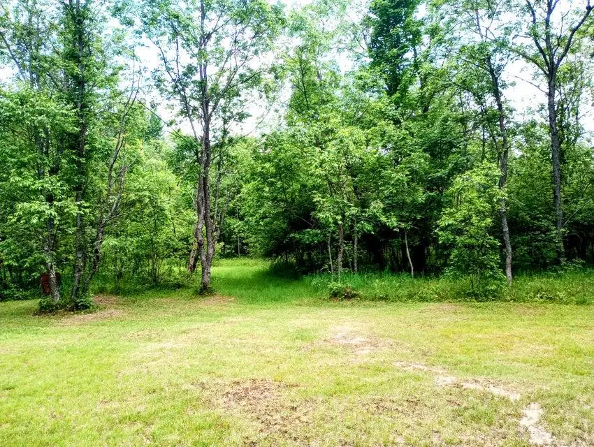 11858 4 Point Road, Fife Lake, MI 49633 - #3