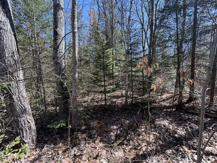 2.5 AC S Gerber Road, Mio, MI 48647 - #2