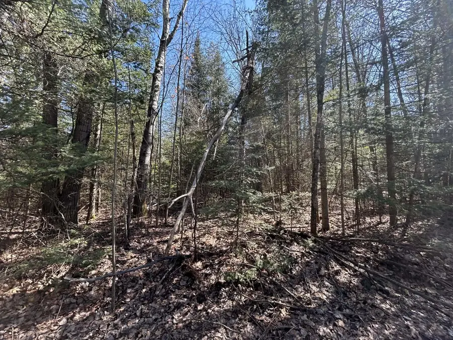 2.5 AC S Gerber Road, Mio, MI 48647 - #3