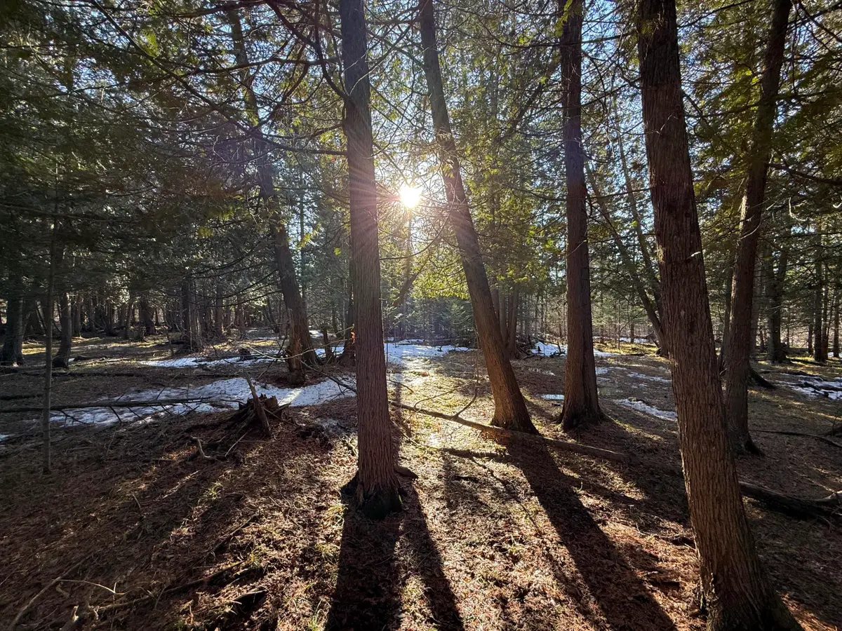 40 AC N Somers Road, Lincoln, MI 48742 - #1