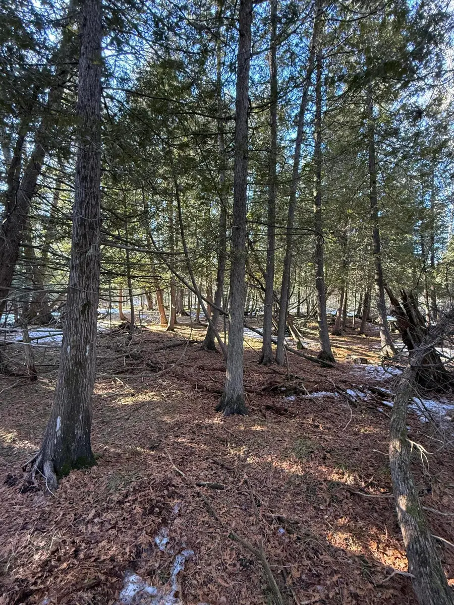 40 AC N Somers Road, Lincoln, MI 48742 - #3