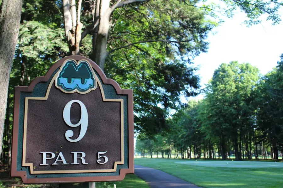 6521 Foothills Trail, Gaylord, MI 49735 - #3