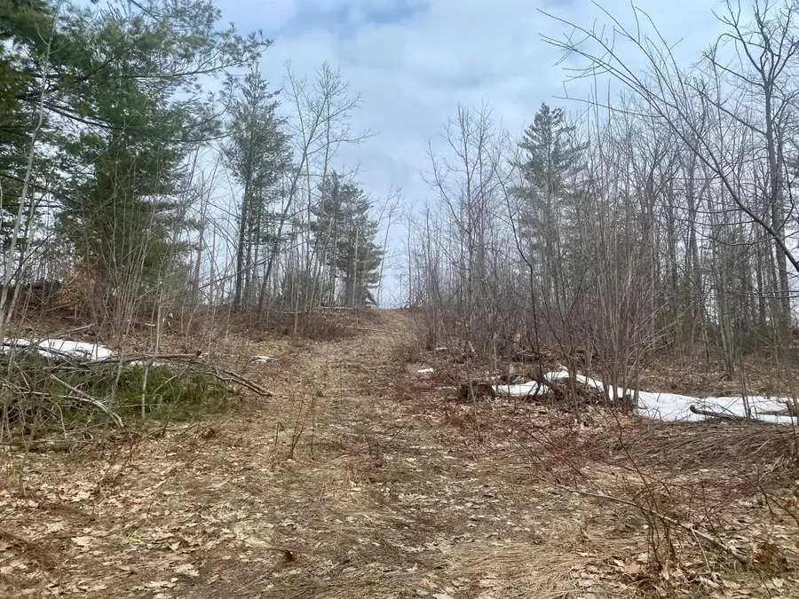 7.6 AC Trails End Street, Gaylord, MI 49735 - #2