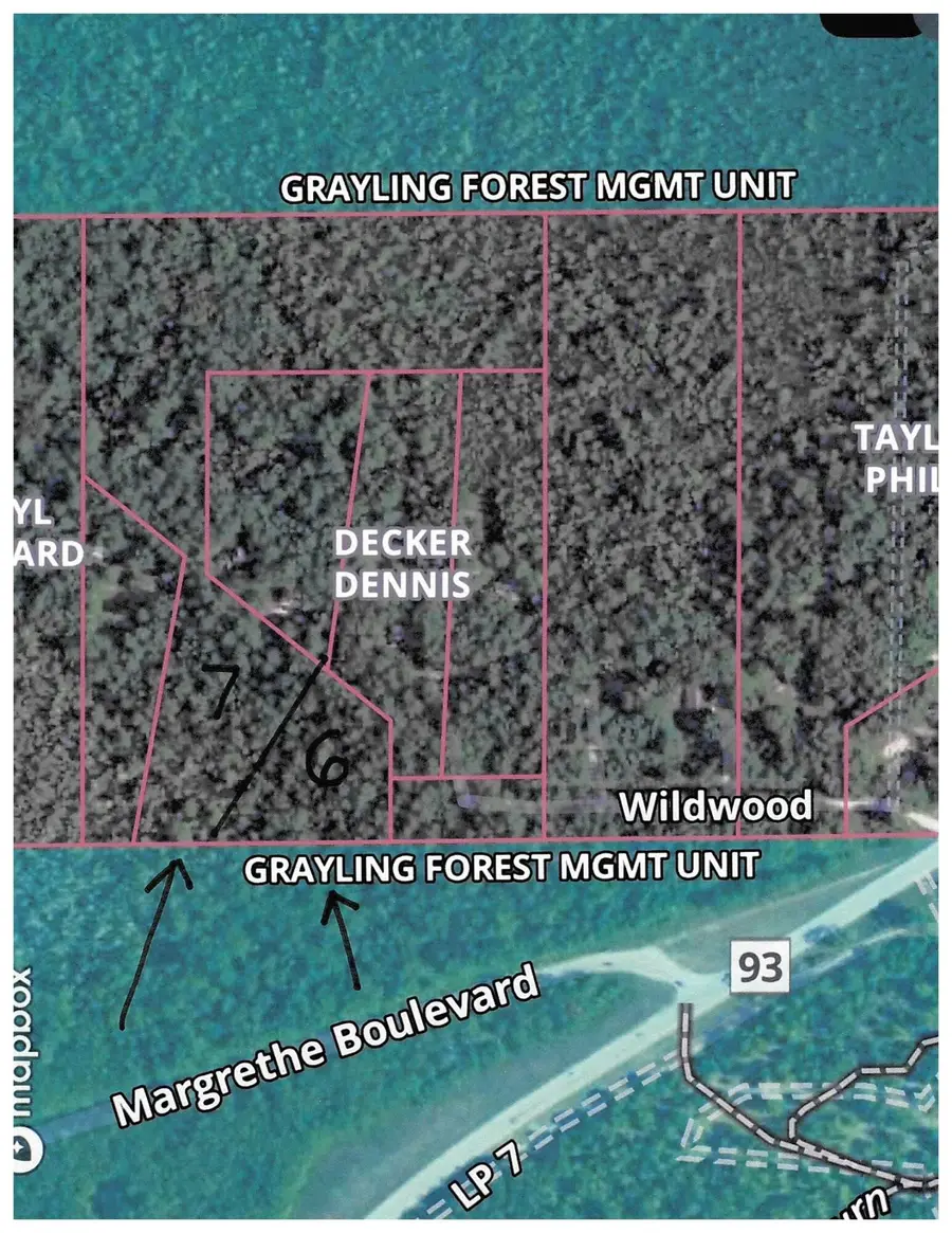 Par 7 Wildwood Lane, Grayling, MI 49738 - #2