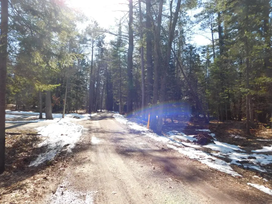 Par 7 Wildwood Lane, Grayling, MI 49738 - #3