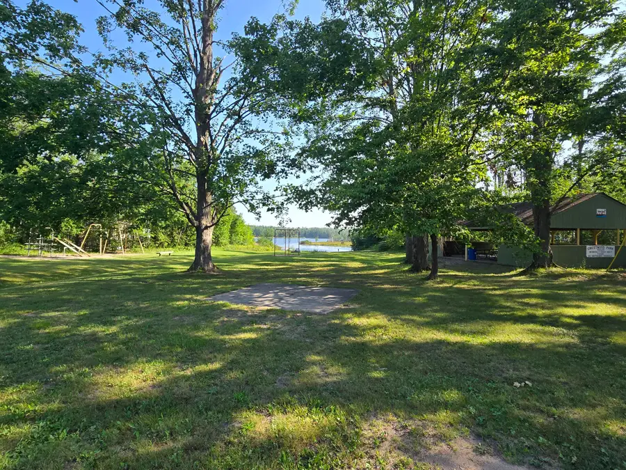 Lot 163 Birchdale Drive, Johannesburg, MI 49751 - #3