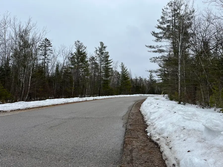 Lot 310 Kauffman Road, Presque Isle, MI 49777 - #3