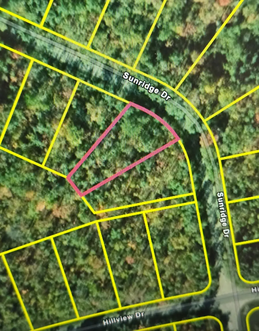 Lot #257 Sunridge Drive, Elmira, MI 49730 - #2