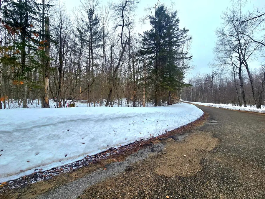 Lot #257 Sunridge Drive, Elmira, MI 49730 - #3