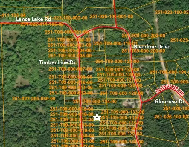 16253 Timberline Drive, Wolverine, MI 49799 - #2