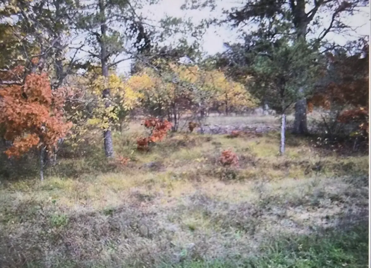 Lot 4 Northwood Drive, Grayling, MI 49738 - #1
